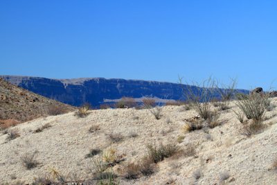 IMG_8553.jpg