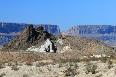 IMG_8558.jpg