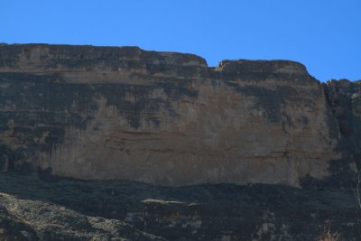 IMG_8586.jpg
