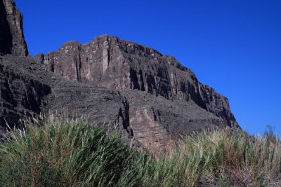 IMG_8588.jpg