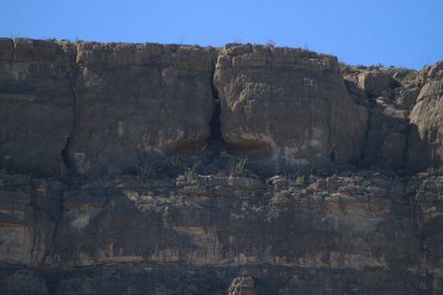 IMG_8602.jpg