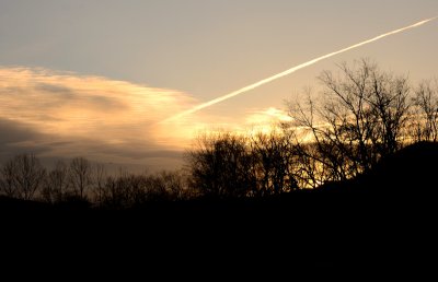 Trails