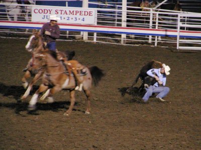 JPG CS Bulldogger P6257276.jpg