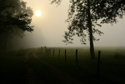 Fenced-In Fog
