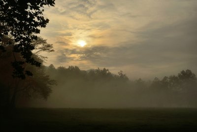 New Day