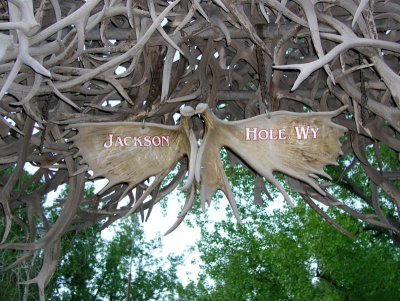 JPG CS  Moose Antler Sign P6196546.jpg