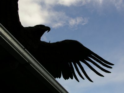 JPG CS EagleWing P6206563.jpg