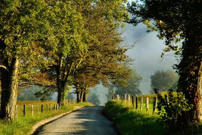 Morning On Sparks Lane