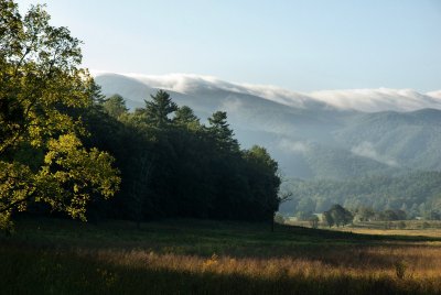 Shrouded