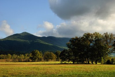 Partly Cloudy