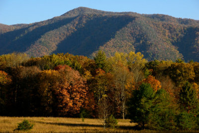 2 Mtn Colors