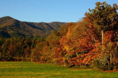 Mountain Colors