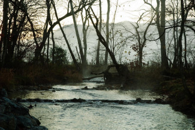 Abrams Creek, Early Morning