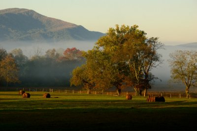 Bales