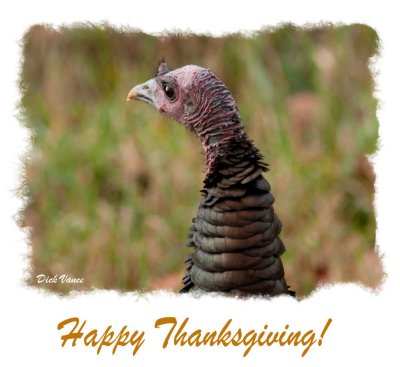 I wish everyone a very Happy Thanksgiving!