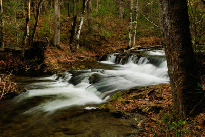 Forge Creek Cascades