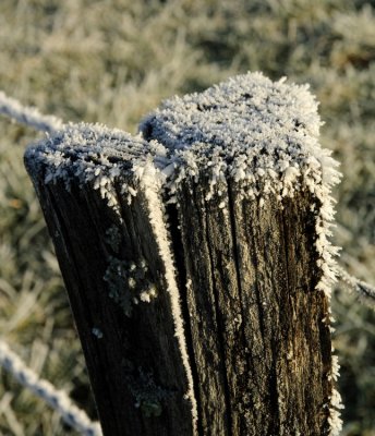 Frosty Post