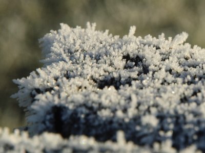 Frosty Top