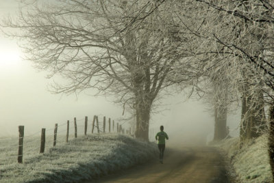 Runner