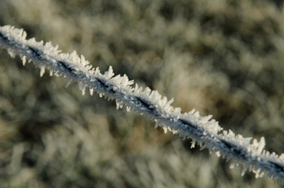Cold Wire