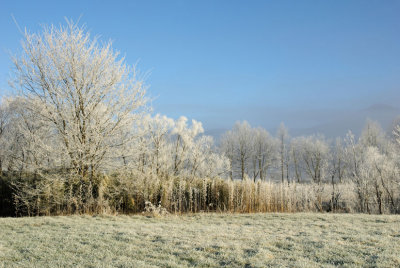 Heavy Frost
