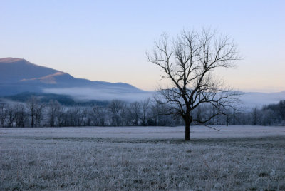 Early Morning