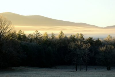 Sunlit Tops