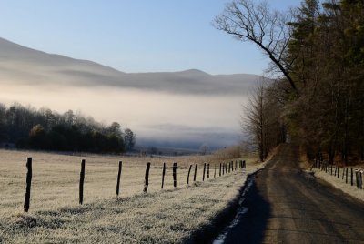Hyatt Lane In The Morning