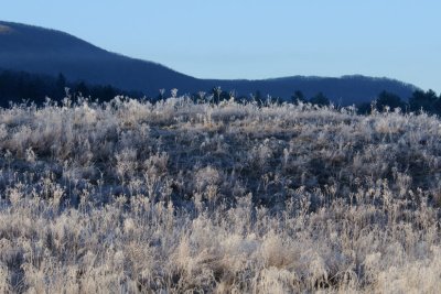 Frost On The Hill 