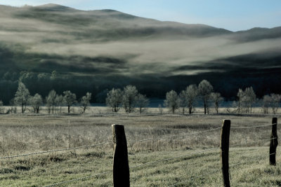 Flaky Fog