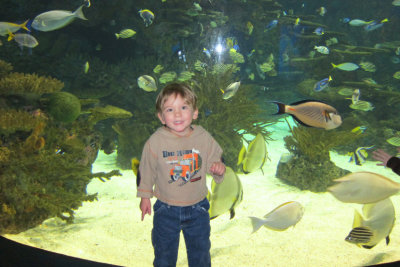 JPG CS 1 Wyatt Fish IMG_0112.jpg