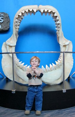 Aquarium 2-26-12