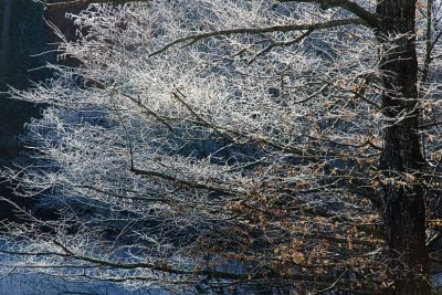 All That Glitters.........