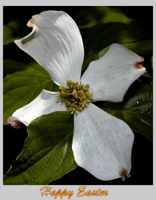 Happy Easter 2012