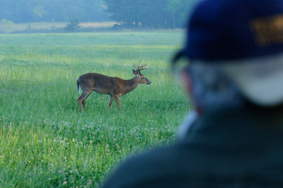 The Deerstalker