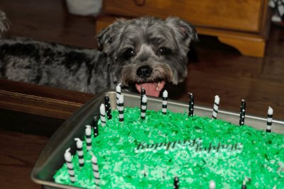 Aragorn Eyes The Cake