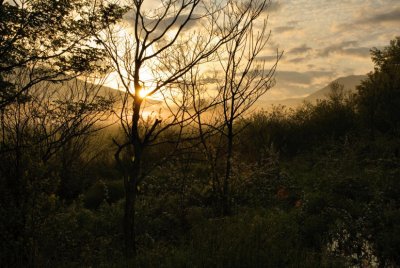 Sunbright