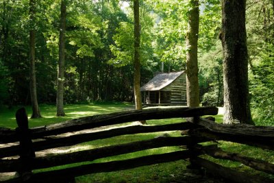 Sheilds Cabin Goes Green