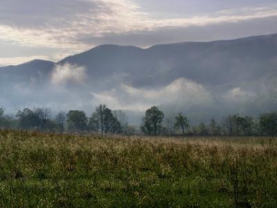 JPG CS 2MornMist P4230666.jpg