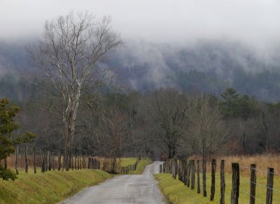 JPG CSa Dreary Sparks Lane PC290159.jpg