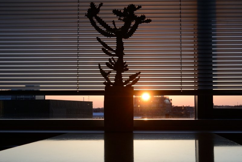 DSC_4413-900.jpg