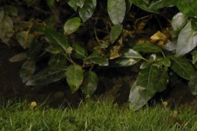 D7K_0820-900crop.jpg