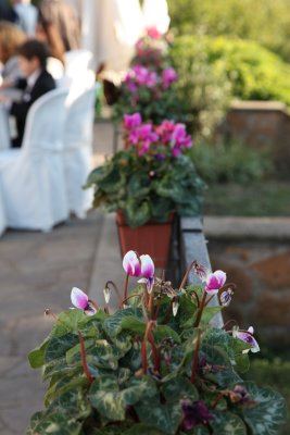 IMG_0397.JPG