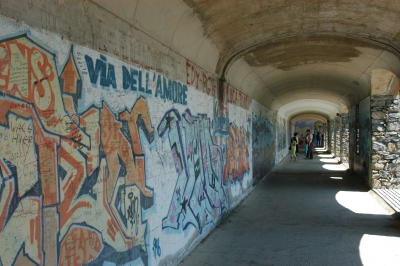 DSC_0102.JPG