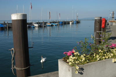 DSC_0165.JPG