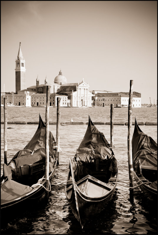 IMG_1483-2.jpg