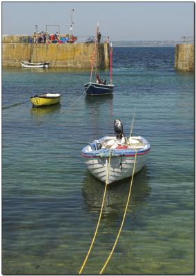 white boat.jpg