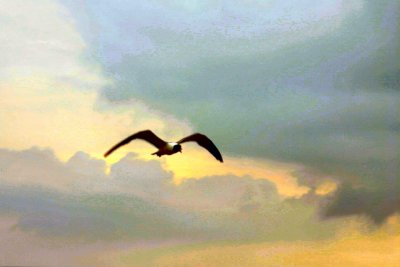 AC - Sunday Morning Sky