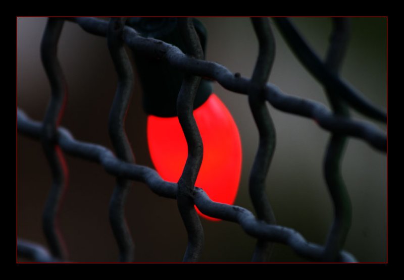 Christmas behind the fence