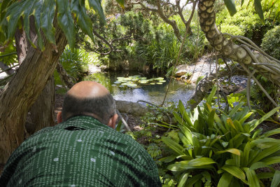 Jimbo may have found a new fishing hole